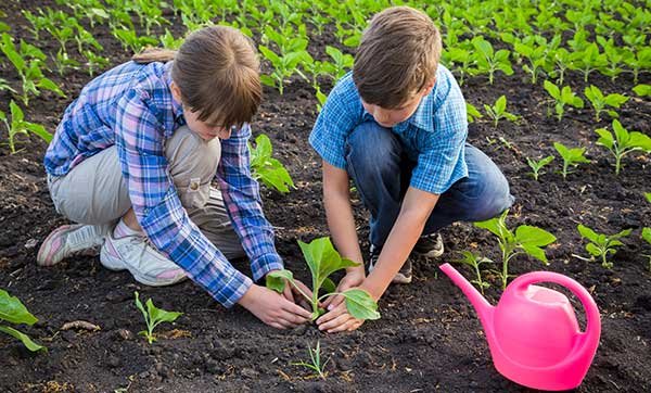 kids planting a vegetable garden